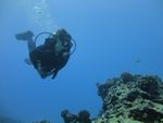 Hawaii Scuba divng 59