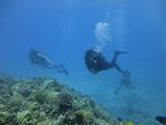 Hawaii Scuba divng 67