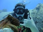 Hawaii Scuba divng 77