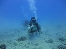 Hawaii Scuba divng 11