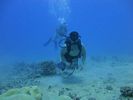 Hawaii Scuba divng 12