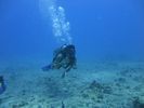 Hawaii Scuba divng 15