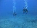 Hawaii Scuba divng 17