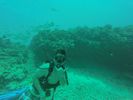 Hawaii Scuba divng 23