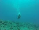 Hawaii Scuba divng 24