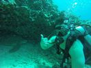 Hawaii Scuba divng 28