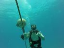 Hawaii Scuba divng 32