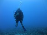 Hawaii Scuba divng 10