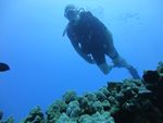 Hawaii Scuba divng 12