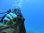 Hawaii Scuba divng 31