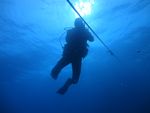 Hawaii Scuba divng 09