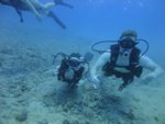 Hawaii Scuba divng 11