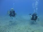 Hawaii Scuba divng 12