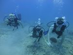 Hawaii Scuba divng 13