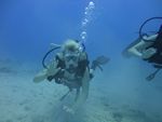 Hawaii Scuba divng 14