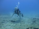 Hawaii Scuba divng 16