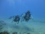 Hawaii Scuba divng 17