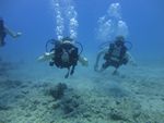 Hawaii Scuba divng 18