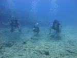 Hawaii Scuba divng 19