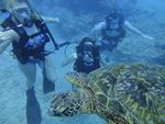 Hawaii Scuba divng 25