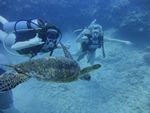 Hawaii Scuba divng 29