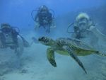 Hawaii Scuba divng 32