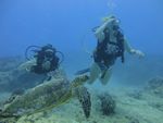 Hawaii Scuba divng 36