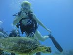 Hawaii Scuba divng 37