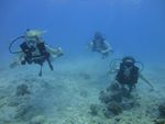 Hawaii Scuba divng 38
