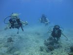 Hawaii Scuba divng 38