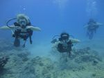 Hawaii Scuba divng 39