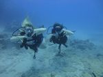 Hawaii Scuba divng 41