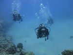 Hawaii Scuba divng 42