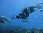 Hawaii Scuba divng 44