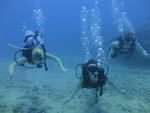 Hawaii Scuba divng 45