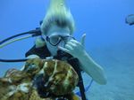 Hawaii Scuba divng 56