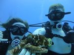 Hawaii Scuba divng 58