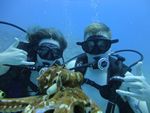 Hawaii Scuba divng 59