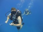 Hawaii Scuba divng 62