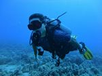 Hawaii Scuba divng 10