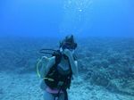 Hawaii Scuba divng 16