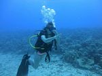 Hawaii Scuba divng 17