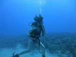 Hawaii Scuba divng 18