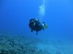 Hawaii Scuba divng 19