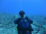 Hawaii Scuba divng 24