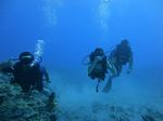 Hawaii Scuba divng 26