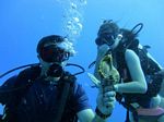 Hawaii Scuba divng 28