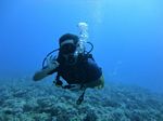 Hawaii Scuba divng 30