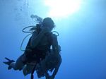 Hawaii Scuba divng 34