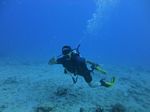 Hawaii Scuba divng 35